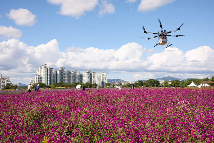 천일홍이 만개한 양주 나리공원 전경. 사진=양주시청