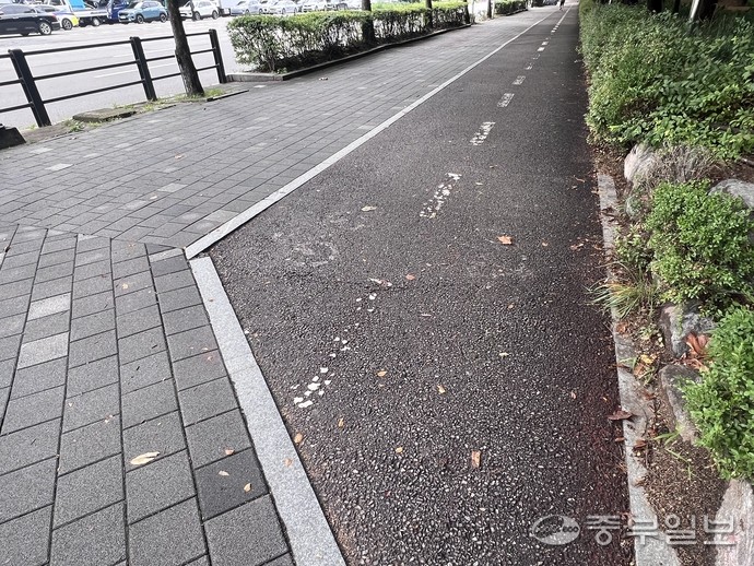 장수IC방면 도로 옆 자전거 도로 단절로 인해 보행자와의 충돌 위험이 자주 발생하고 있다. 이희재 시민기자