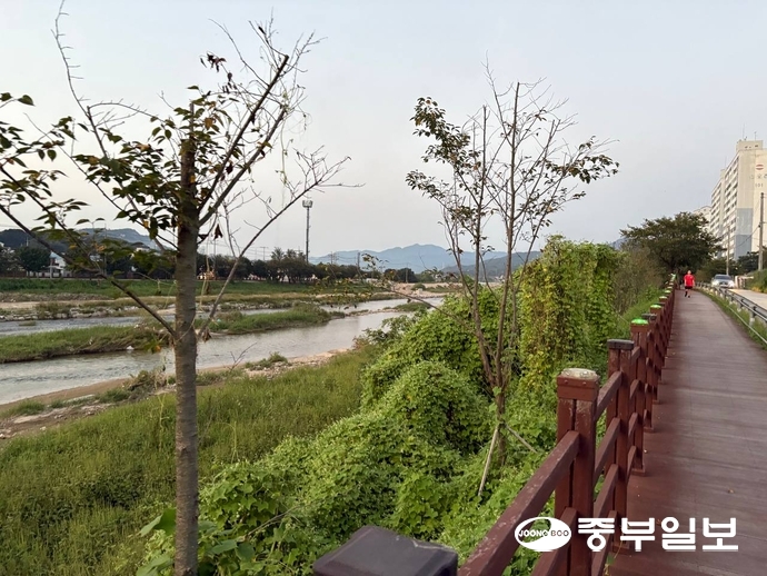 양주의 한 사단의 무리한 구보 중 한 장병이 열사병으로 숨진 포천천변.