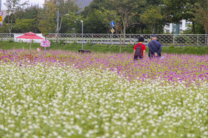 여주 나리공원. 사진=경기관광공사