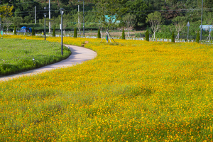 안성 금광호수 수석정 수변화원. 사진=경기관광공사