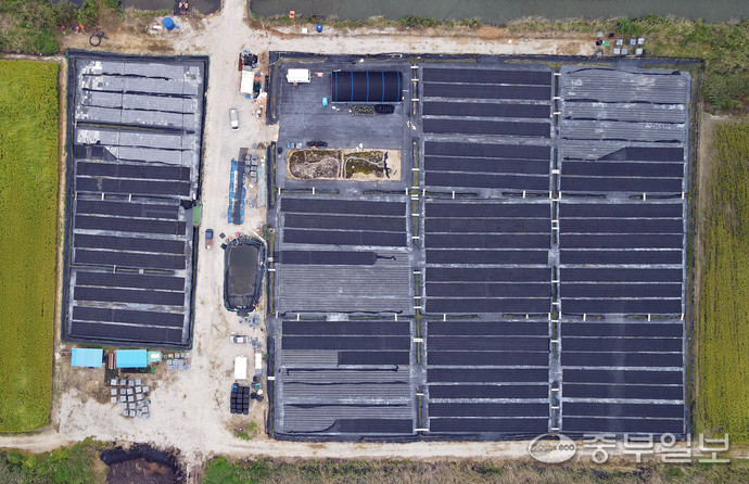 최근 ‘탄소꽃이끼’ 계약 재배에 뛰어들었다가 큰 손실을 보게 됐다고 주장하는 안산의 한 농장 모습. 임채운기자