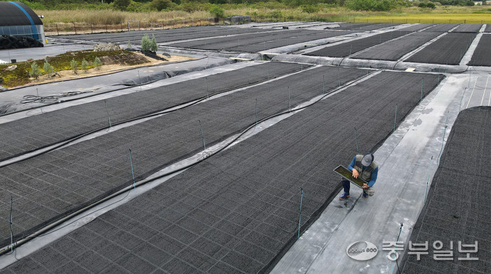 최근 ‘탄소꽃이끼’ 계약 재배에 뛰어들었다가 큰 손실을 보게 됐다고 주장하는 안산의 한 농장 모습. 임채운기자