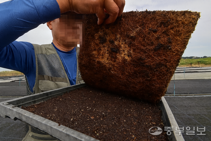 최근 ‘탄소꽃이끼’ 계약 재배에 뛰어들었다가 큰 손실을 보게 됐다고 주장하는 안산의 한 농장 모습. 임채운기자