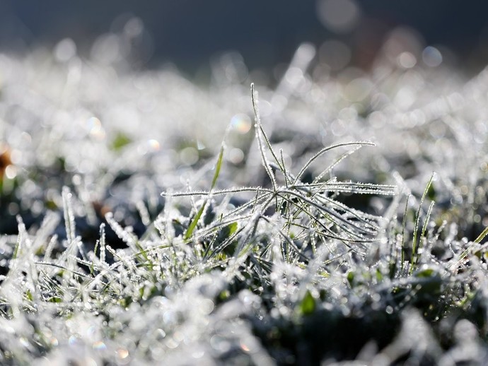 서리.사진=연합뉴스