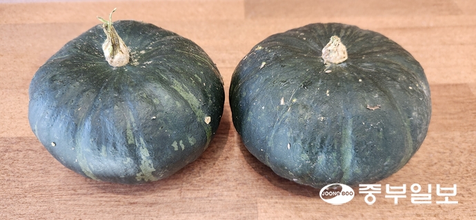 이서영 청년농부가 부모님과 직접 농사지은 미니 단호박. 신연경기자