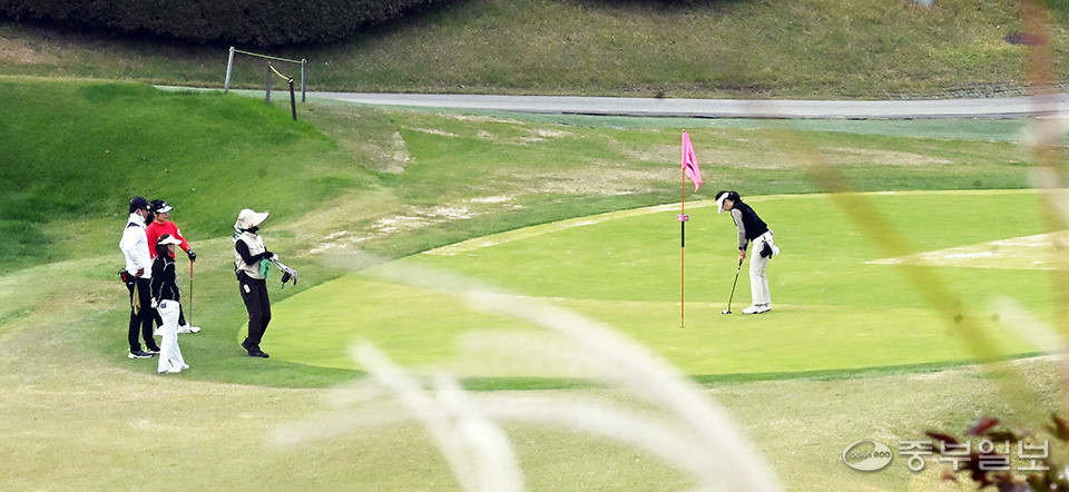 대회를 이어가는 참가자들. 노민규기자