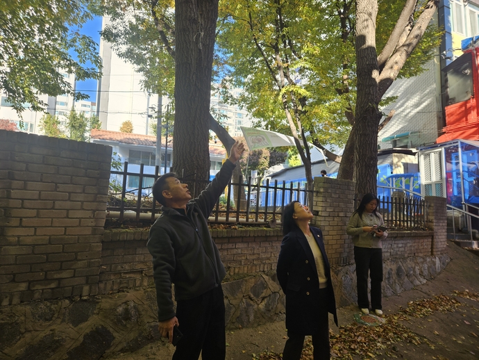 고선희 인천 서구의원이 지난 4일 가좌동 인근 빌라를 위협하는 대형 나무를 찾아 현장을 살펴보고 있다. 사진=서구의회