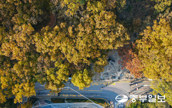 1967년 학술 목적으로 조성된 서울대 관악수목원이 ‘서울대 안양수목원’으로 명칭이 변경되면서 58년 만에 상시 개방됐다. 사진은 5일 오후 안양시 만안구 서울대 안양수목원의 모습. 임채운기자