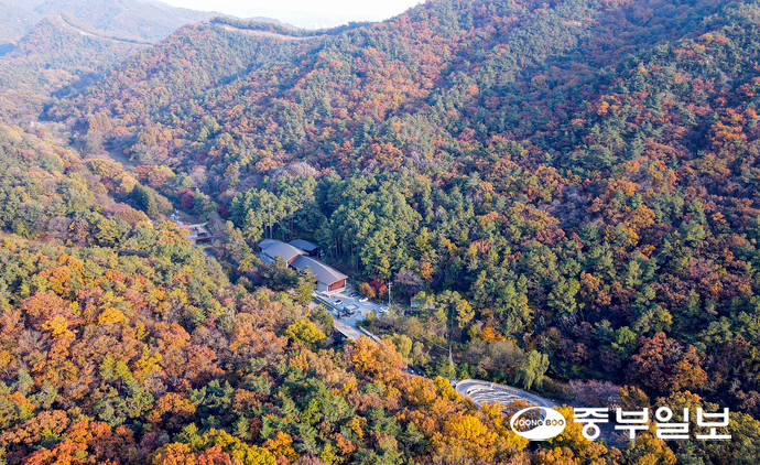 1967년 학술 목적으로 조성된 서울대 관악수목원이 ‘서울대 안양수목원’으로 명칭이 변경되면서 58년 만에 상시 개방됐다. 사진은 5일 오후 안양시 만안구 서울대 안양수목원의 모습. 임채운기자
