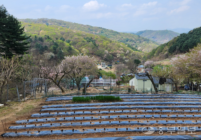 동두천시 보산7동 걸산마을 전경. 사진은 마을 통장 서재수 씨 자택 앞에서 촬영한 것으로, 미군기지 캠프 케이시 내부 산자락에 둘러싸인 마을의 모습이 한눈에 들어온다. 사진=이석중기자