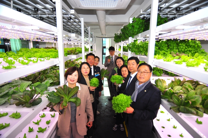 인천 서구의회 ‘서구 도시농업 활성화 연구회’ 소속 의원들이 지난 6일 제13차 우수사례 비교시찰 장소인 ‘실록팜샐러드카페’를 방문해 관련 시설을 둘러보고 기념 촬영을 하고 있다. 사진=서구의회