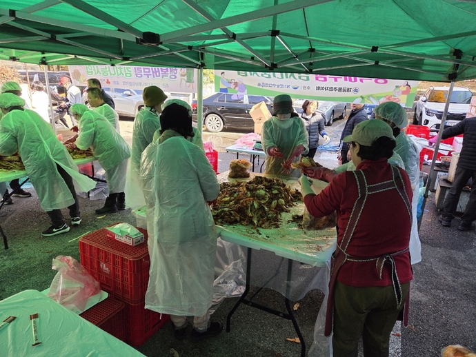 지난 12일 군포 재궁동 주민자치회와 지역사회보장협의체 위원들이 ‘행복버무림 김치나눔’ 행사에서 정성껏 김장을 담그고 있다. 사진=군포시청