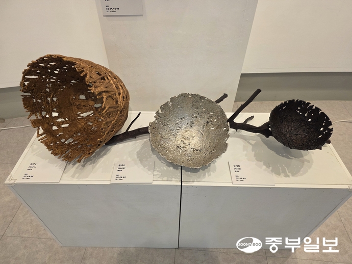 양점모 작가의 작품 ‘둥지’. 이준도기자