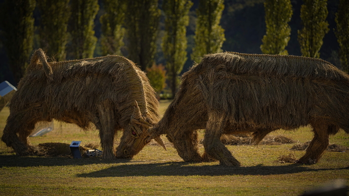 여주 강천섬에 ‘지붕 없는 박물관’ 사업을 통해 설치된 짚황소 작품. 사진=경기문화재단