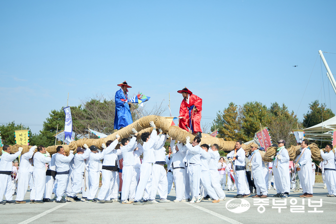 무대·개막의전·초청가수가 없는 3무(無)축제에서 여주의 전통 민속놀이인 ‘쌍용거줄다리기’가 여주오곡나루축제의 시작을 알리고 있다. 김규철기자