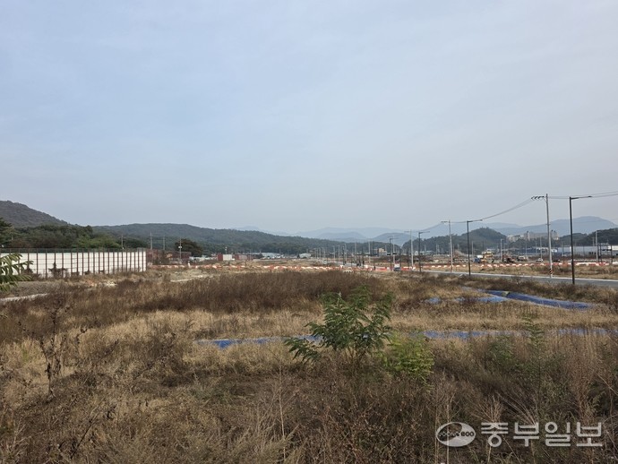 11월 7일 동두천 국가산단 내부 미조성 구간. 부지 대부분이 잡초로 뒤덮인 채 방치된 형태로 남아 있어 산단 활성화 지연이 드러난다. 이석중 기자