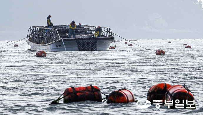 20일 오전 화성시 궁평항 인근 김 양식장에서 어민들이 김을 수확하고 있다. 임채운기자