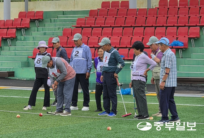지난 1일 강화군 길상공설운동장에서 열린 게이트볼대회에서 참가한 지역 어르신들이 스틱으로 공을 타격하는 선수를 지켜보고 있다. 조향래 기자